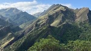 新北 瑞芳 黃金八稜七稜O型