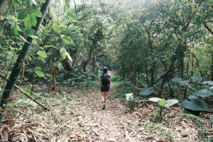 [台南] 枕頭山O型