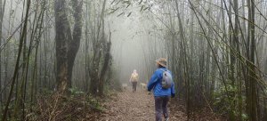2024/12/14_關刀山步道O型