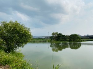 新竹頭前溪河岸