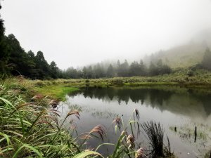 秋日。漫步在雲端