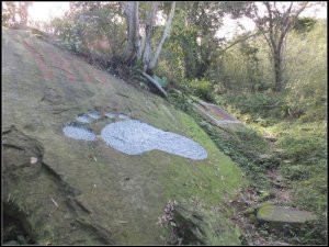 貢寮區大嶺古道+大石壁坑山+龍字碑+五酒桶山+龍崗山