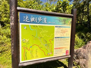 阿里山迷糊步道-福山古道