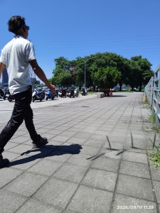 2026雙園河濱公園健走趣