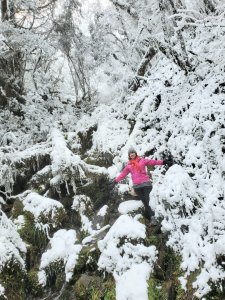 110年1月8日太平山賞雪