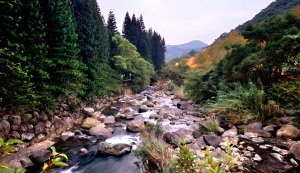 五指山，梅花山，雙溪溝古道，香對山，風櫃嘴步道，聖人橋