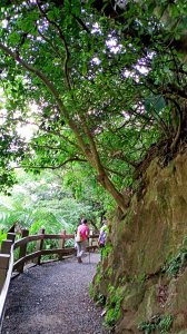 《古色古香的圓山/劍潭、郁郁蓁蓁的天母水管路步道/天母古道》