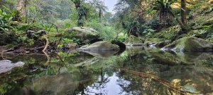 馬胎古道（含二期）-2026/02/21