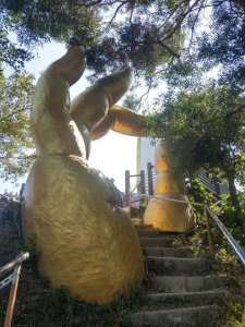 台中北屯區大坑小百岳#042南觀音山