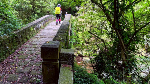 大尖後山西南稜