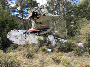 向陽進經二戰飛機世新谷大鵬飛機戒茂斯出