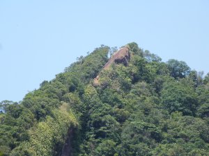 石碇區石霸尖-皇帝殿東峰-玉京山找尋艷紅花影