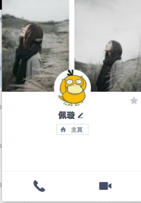 佩璇