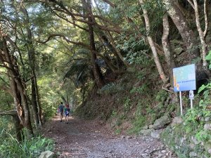 松鶴登八仙山