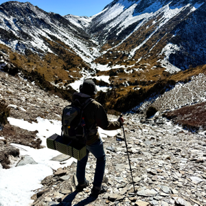 山頂猴子的一生🐒