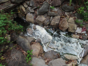 寶來溪野溪溫泉～十三坑溫泉→十坑→七坑溫泉