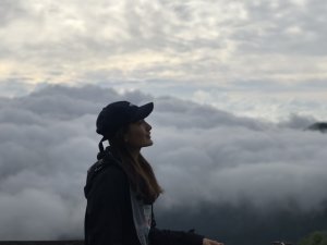 太平山森林遊樂區－望洋山步道