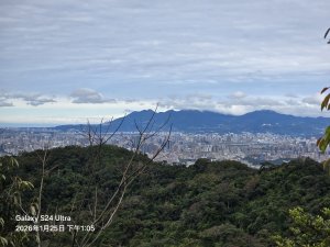 2026-01-25微笑山線：【天上山系】望月亭桐花段