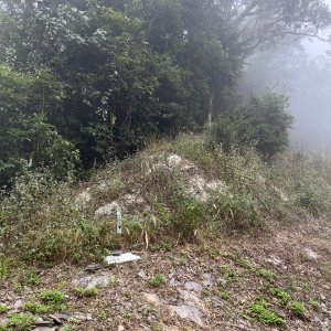 20251115_藤枝山（高雄小百岳）