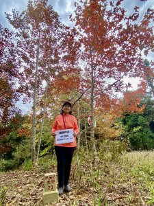 東勢基石巡禮(麻竹坑山.石角山.酒保坪山.大南坑山.主峰)  2022/12/30