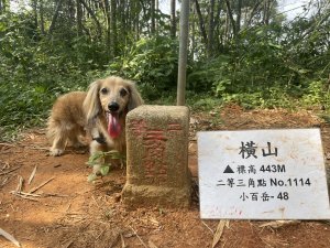 「橫山」八卦山最高點