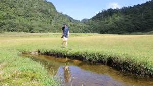 探索迷幻森林之塔魔巴棲松(塔曼山、玫瑰西魔山、巴博庫魯山、棲蘭池、松蘿湖)
