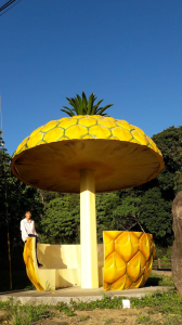 鳳梨宅聚落、永春寮步道