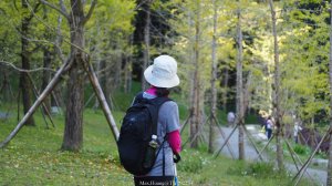 《南投》青龍飛瀑｜杉林溪青龍瀑布越嶺古道燕庵步道