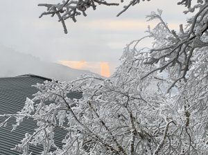 【新聞】太平山國家森林遊樂區2021年第二波冬季雪期 預警性機動管制措施