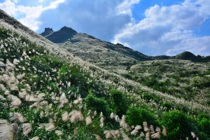 煙囪稜賞芒