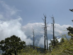 大雪山200林道登北三錐山