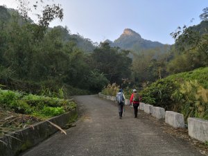 台北三峽-壯闊霸氣的岩壁、稀少罕見的峭壁精靈(金詩塞內連走)