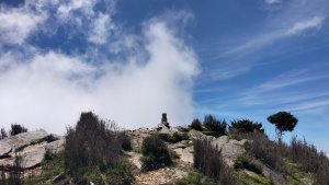 有如探勘路線的東埔上郡大山下開高巷