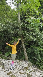 今年最美賞桐花秘境，瑪西賞桐步道，基隆七堵富民親水公園對岸。瑪陵坑溪秘境，台版亞馬遜雨林，苓蘭生態公