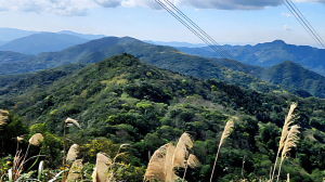 淡蘭古道南路，石碇獵狸尖（樹梅嶺山），四分子古道，大格門古道
