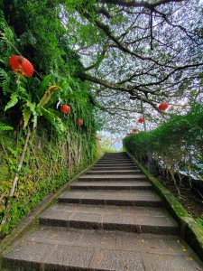拱北殿三八縱走(三秀山，北港山(叭連港大尖））圍貓尖山，刣狗寮山愛心走