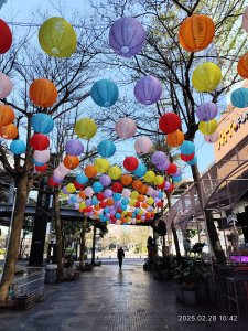 台北信義商圈步道、大港墘公園夜景