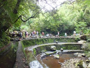 士林區坪頂古圳步道+登峰圳+坪頂古圳+坪頂新圳