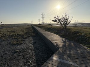 大肚溪濕地生態步道