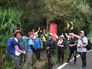 流籠頭、金柑樹、忘憂森林O型