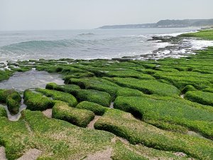 暢遊石門風景名勝：石門婚紗廣場→富基漁港→富貴角燈塔→富貴角公園→老梅綠石槽