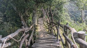 【臺中】北屯大坑4、5、3-1步道｜頭嵙山｜小百岳