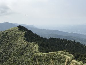 搭公車遊十分瀑布挑戰基隆聖稜線 五分山-姜子寮山13K縱走