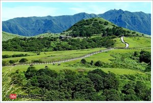 擎天崗系列步道