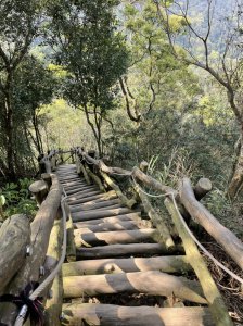 頭嵙山相思枕木遙上天