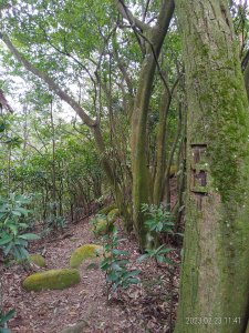 [新竹]飛茄石O型縱走(B線)/途經...王爺坑(鑛務課638)+茄苳窩山北稜+三爺坑山支稜