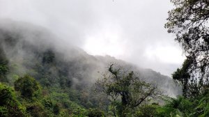 立霧山茫茫茫