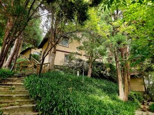 野馬瞰山步道-2025森遊竹縣皮皮獅探險隊