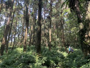 烏桶縱走出桂山路206號