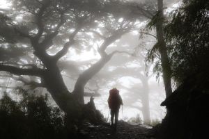 玉山群峰~淒風霧雨砥礪山行